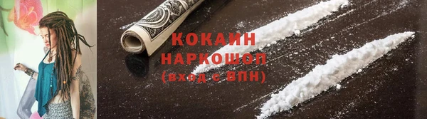 apvp Новозыбков