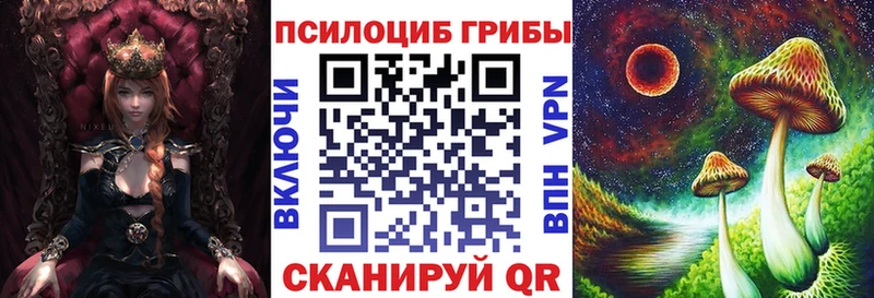 Галлюциногенные грибы Magic Shrooms  закладки  Новотитаровская 
